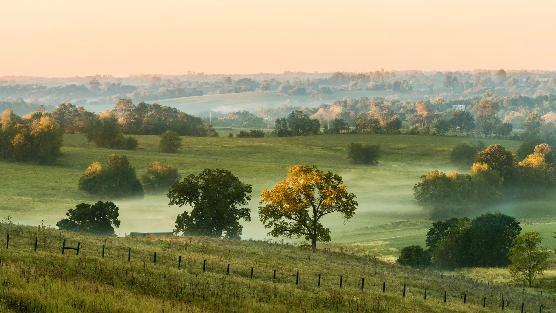 Scenic Paris, Kentucky