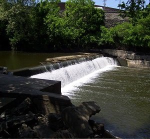 Water flowing over a low dam on the creek, surrounded by trees.