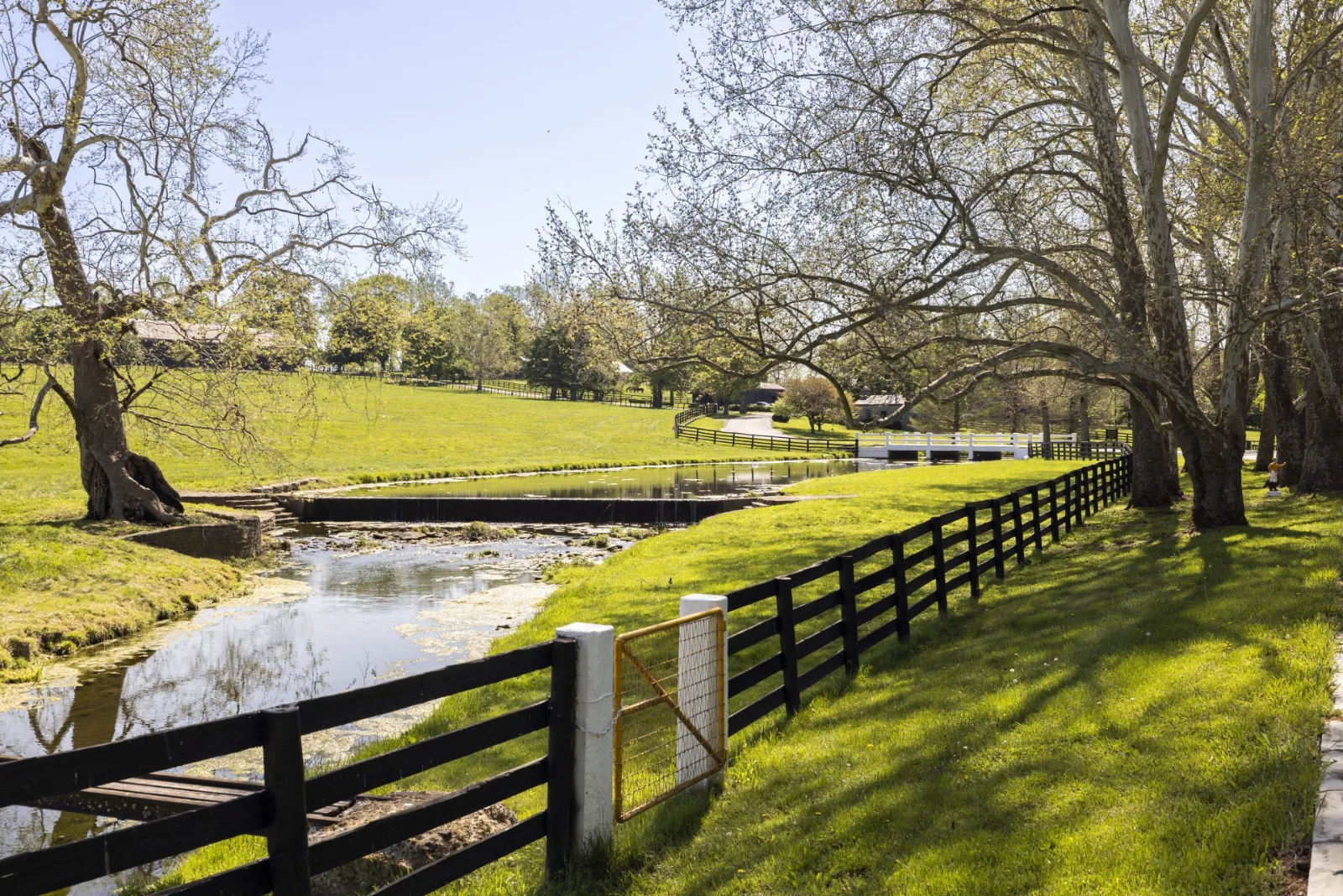 Creek winding past a wooden fence and green pasture