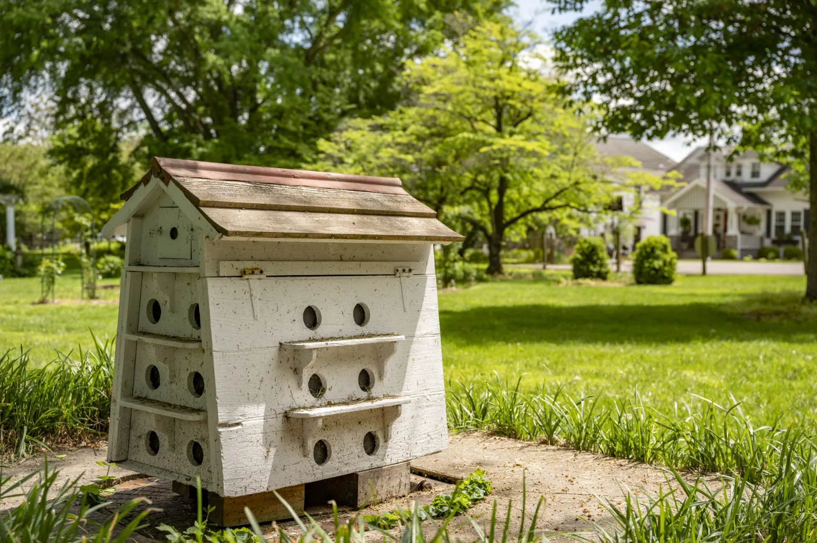 Birdhouse on the grounds of the Nannine Clay Wallis Arboretum